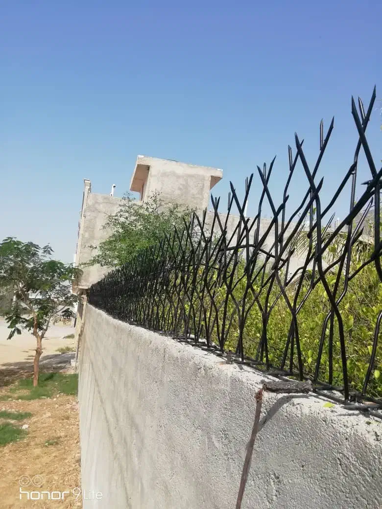 حفاظ شاخه گوزنی|خدمات پیشه و مهارت|بوشهر, |دیوار