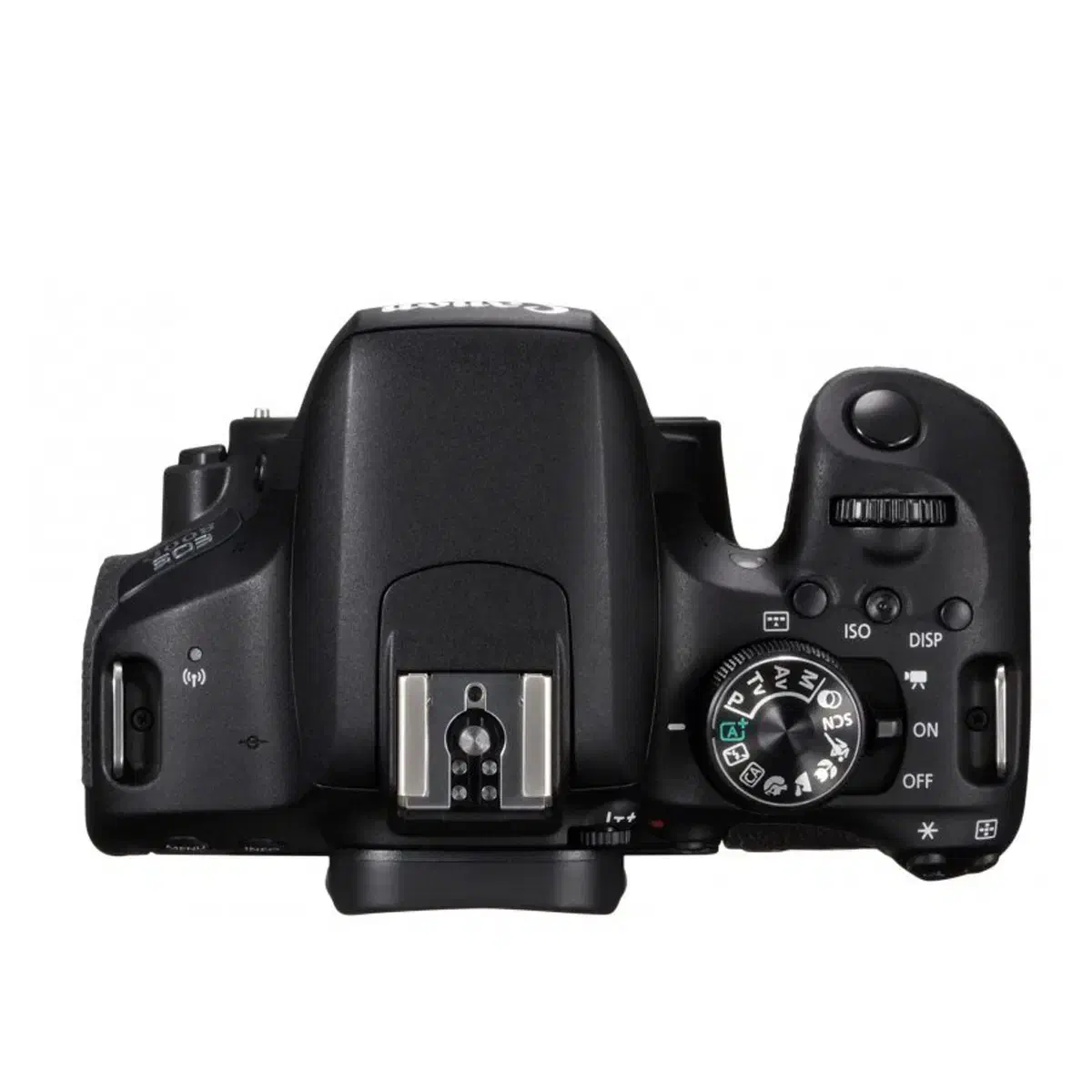 دوربین عکاسی کنون|دوربین عکاسی و فیلمبرداری|دهلران, |دیوار