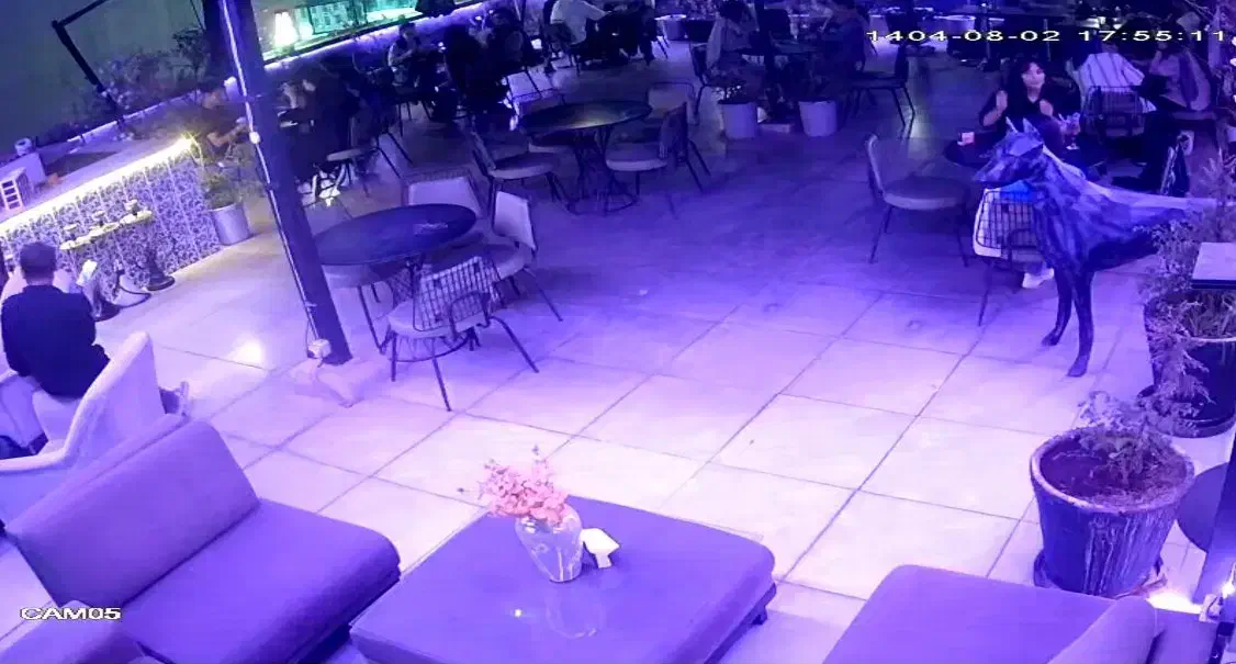 استخدام ویتر و باریستا|استخدام خدمات فروشگاه و رستوران|تهران, تهرانسر مرکزی|دیوار