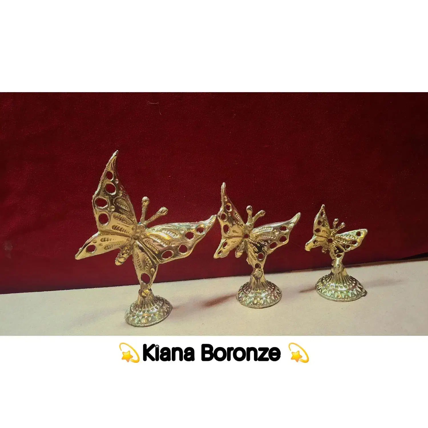 استندپروانه برنزی|مجسمه، تندیس، ماکت|پاکدشت, خاتون آباد|دیوار