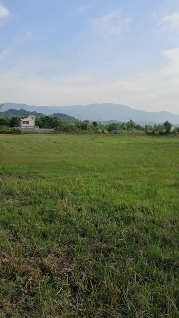 زمین هکتاری کاربری مسکونی و گردشگری لاهیجان|فروش زمین و ملک کلنگی|لاهیجان, بوجایه|دیوار