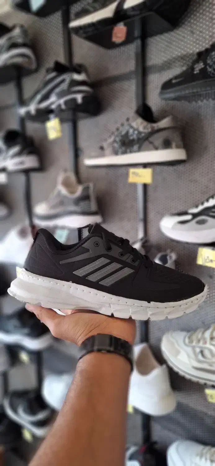 کفش ارزان|کیف، کفش، کمربند|یزد, |دیوار