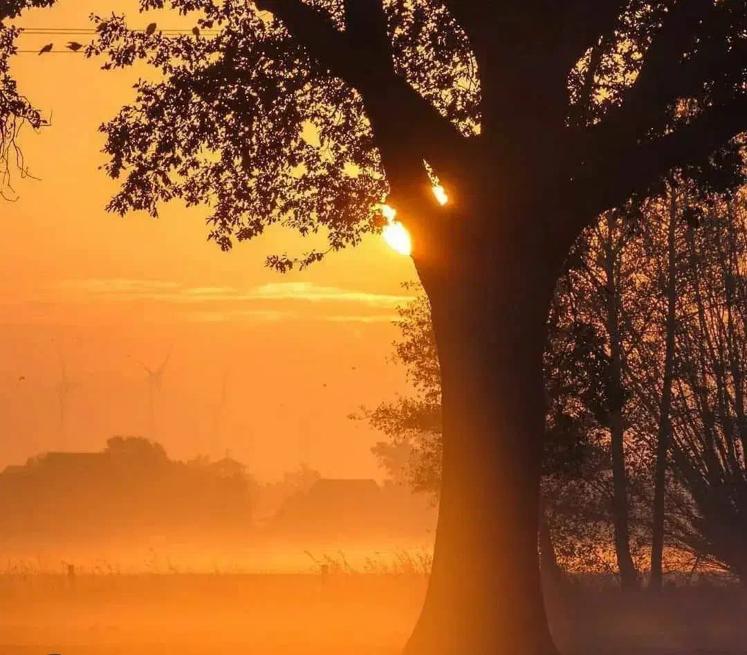 سهم آب کشاورزی شاهین شهر جهاد اباد|فروش زمین و ملک کلنگی|شاهین‌شهر, برخوار غرب|دیوار