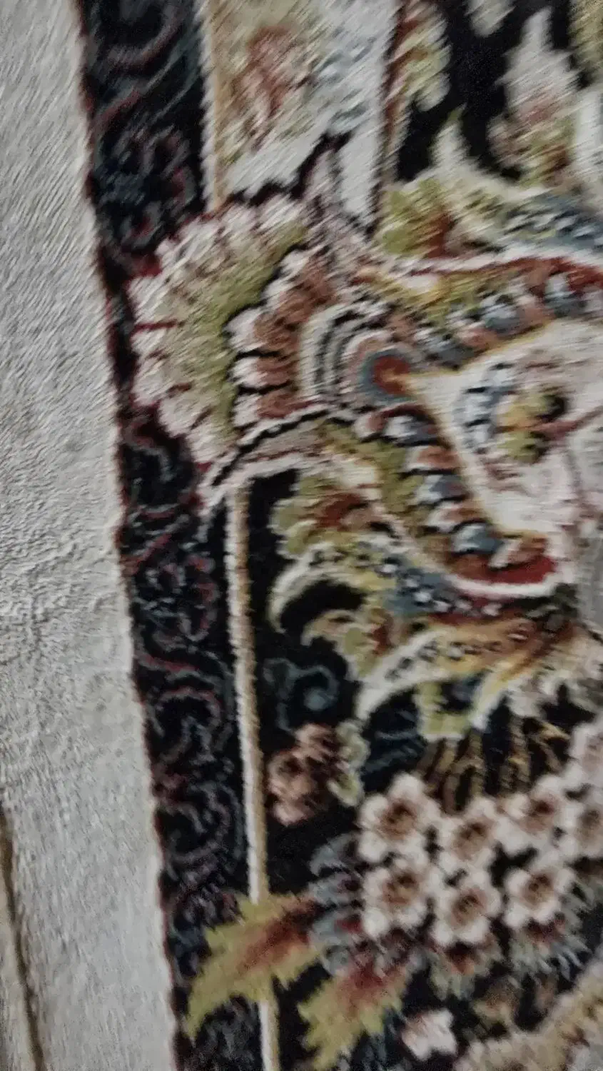 فرش۹متری پاتریس|فرش|خمام, |دیوار