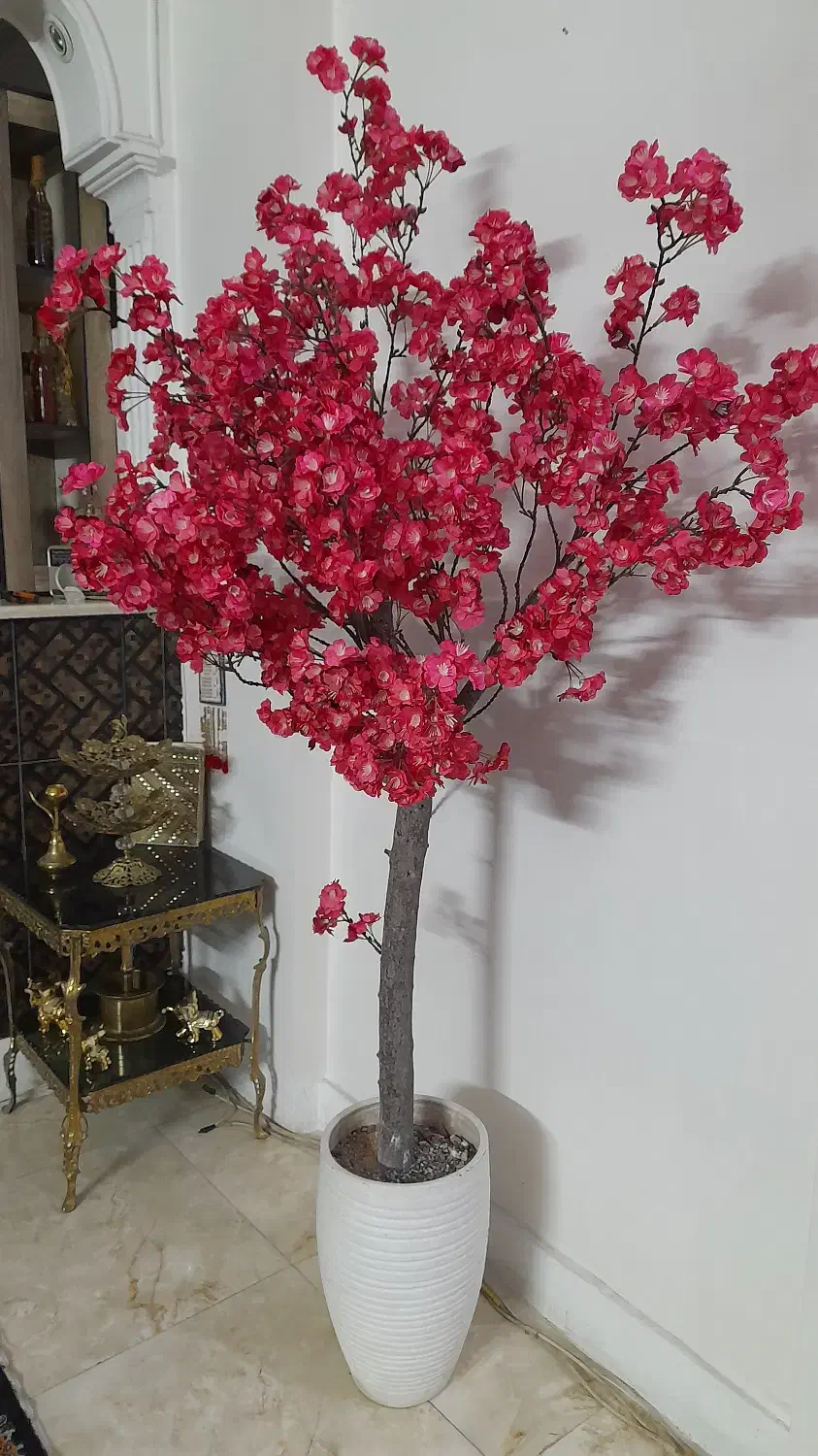 درخچه شکوفه|گل و گیاه طبیعی|کهریزک, |دیوار