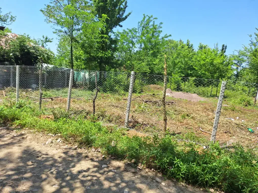 فروش فوری زمین مسکونی|فروش زمین و ملک کلنگی|احمدسرگوراب, |دیوار