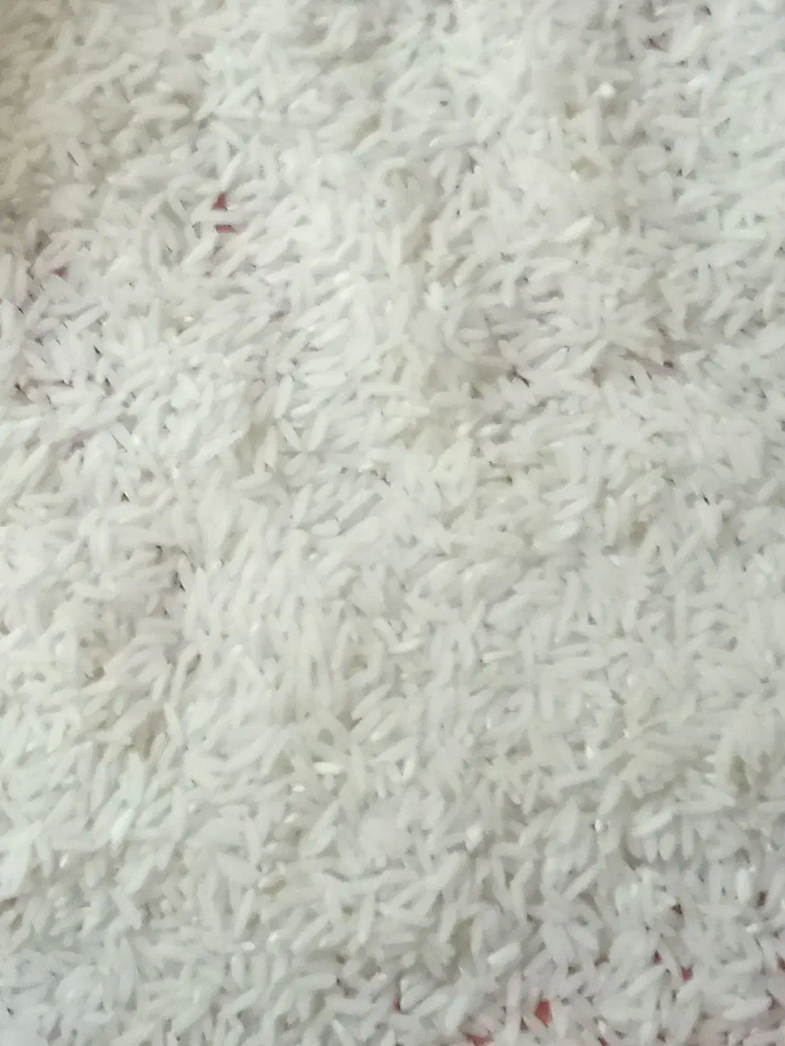 برنج طارم هاشمی از کشاورز|خوردنی و آشامیدنی|محمودآباد, |دیوار