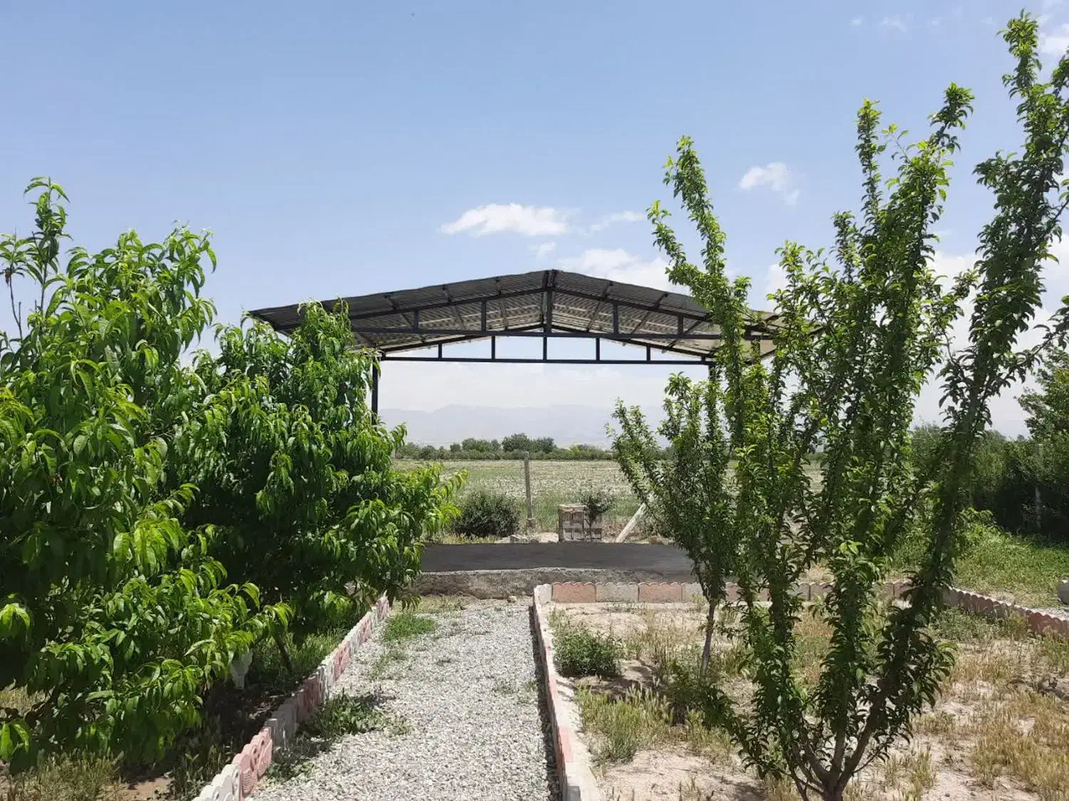 باغچه کاسبی کاسبی در بختیار فوری|فروش زمین و ملک کلنگی|تنکمان, |دیوار