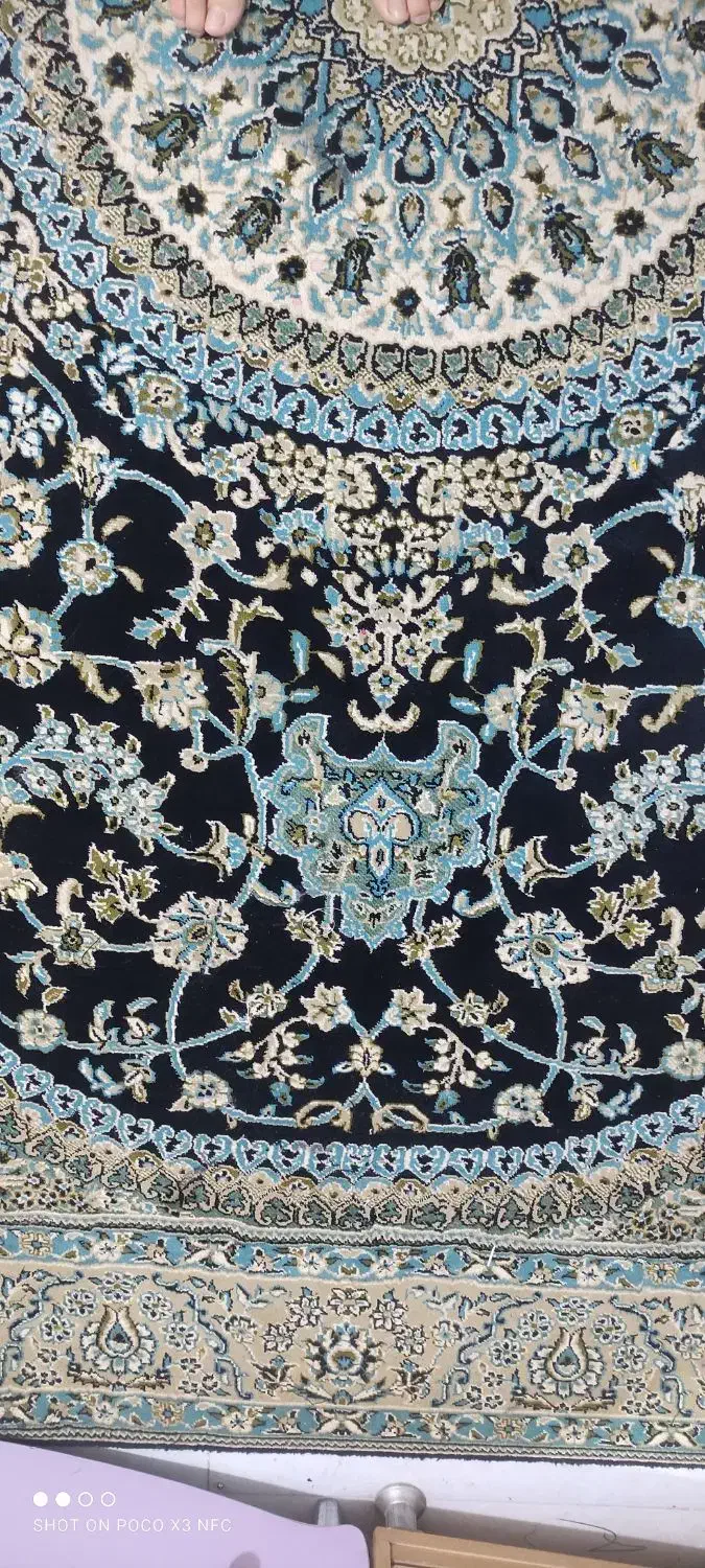 فرش|فرش|نیشابور, شهید بهشتی|دیوار