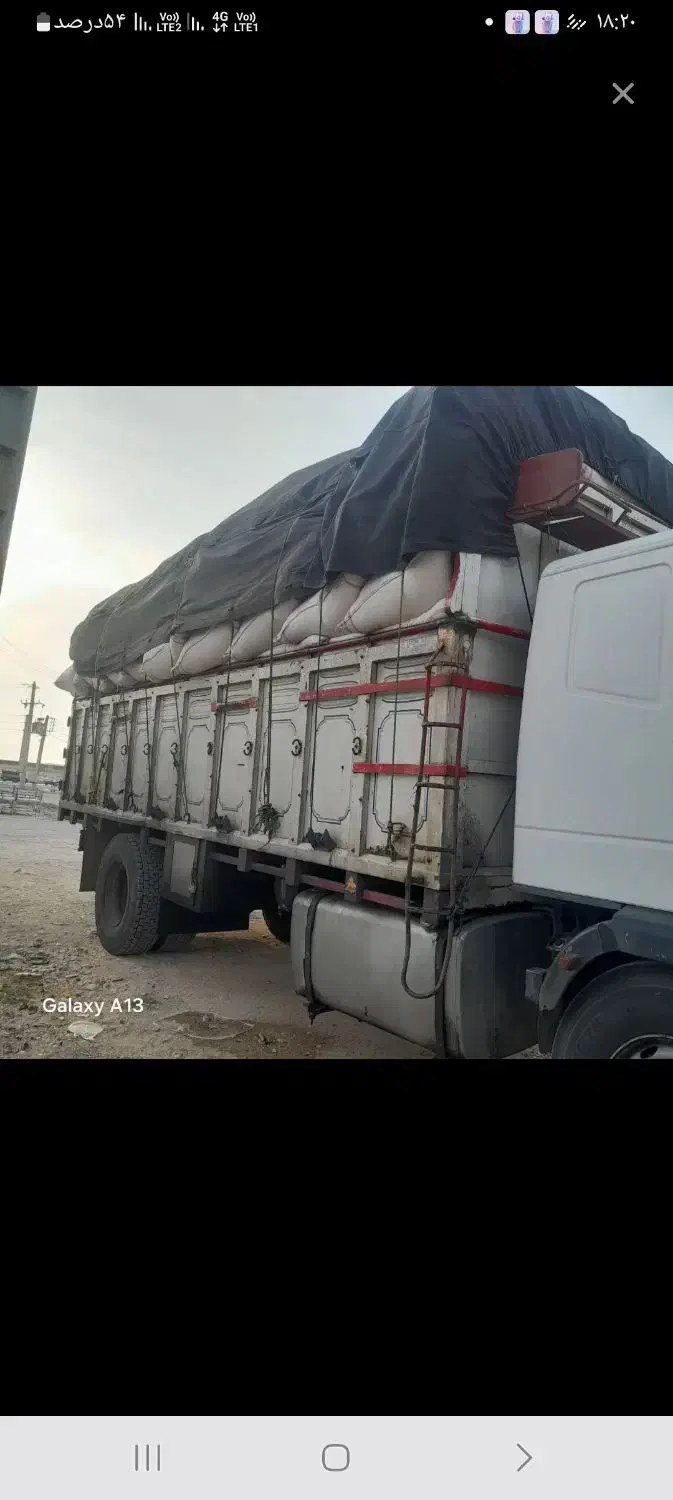 کاه سفید|حیوانات مزرعه|اشترینان, |دیوار