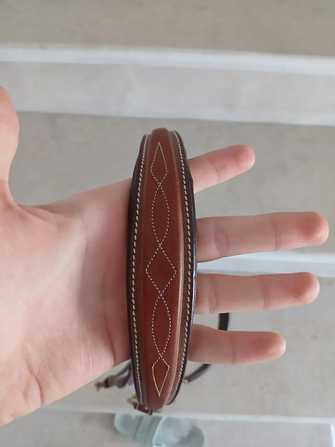 افسار دستی اسب|اسب و تجهیزات اسب‌سواری|ارومیه, |دیوار