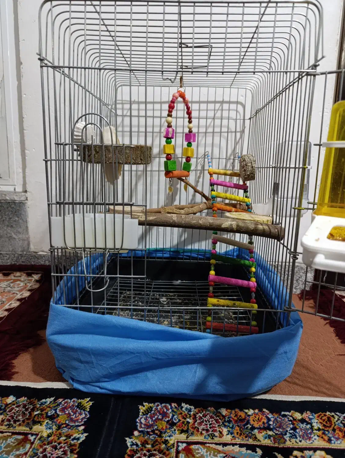 قفس سالم|لوازم جانبی حیوانات|همدان, |دیوار