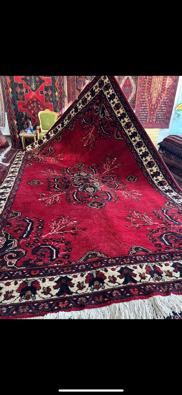 فرش دستباف کوردستان|فرش|سنندج, |دیوار