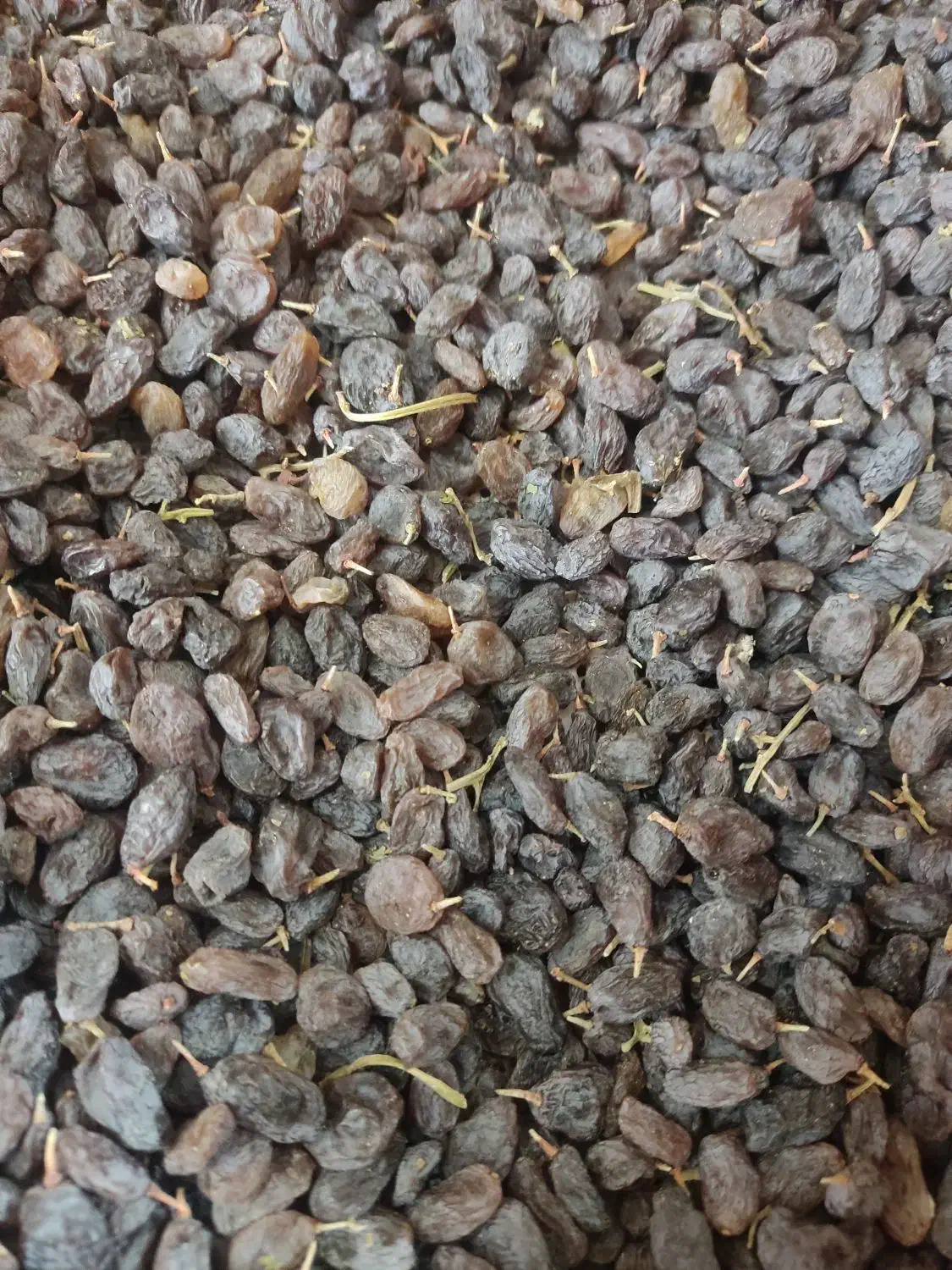 آفتابی درجه 1|حراج|یزد, |دیوار