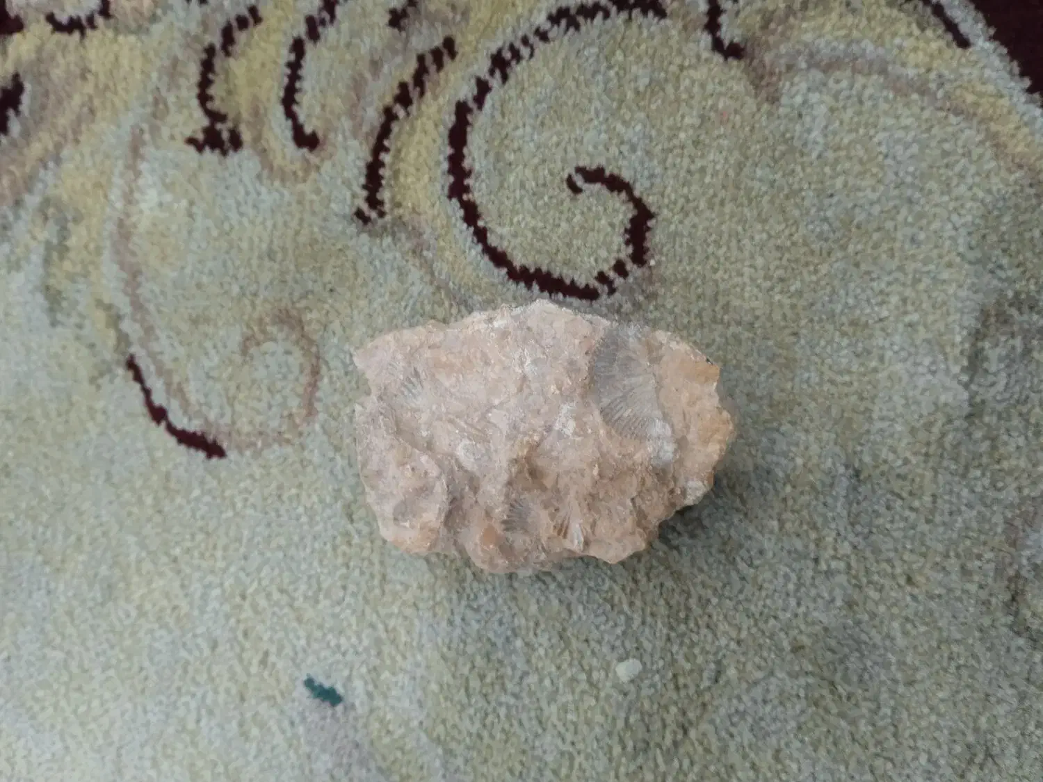 سنگ راف ابسدین، سرپانتین|جواهرات|میبد, |دیوار