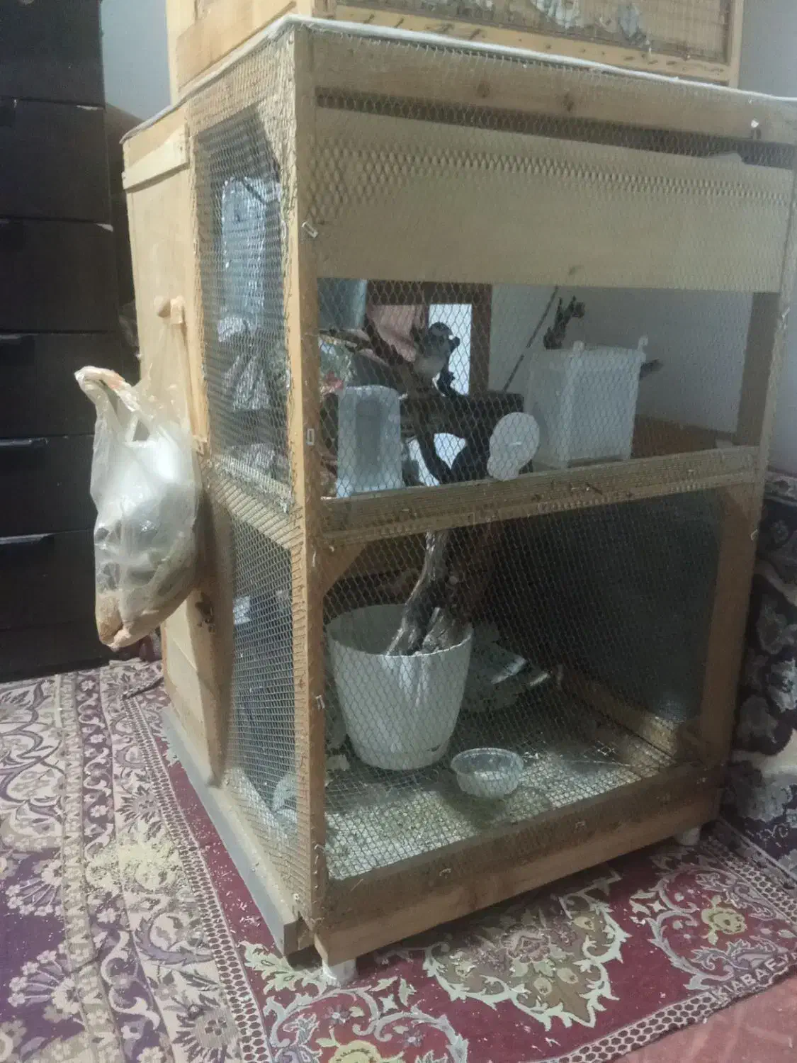 قفس بزرگ چوبی|لوازم جانبی حیوانات|قم, زند آباد|دیوار