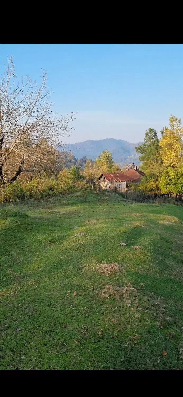 فروش زمین دو هزار متری با ویوی ۳۶۰|فروش زمین و ملک کلنگی|سیاهکل, |دیوار