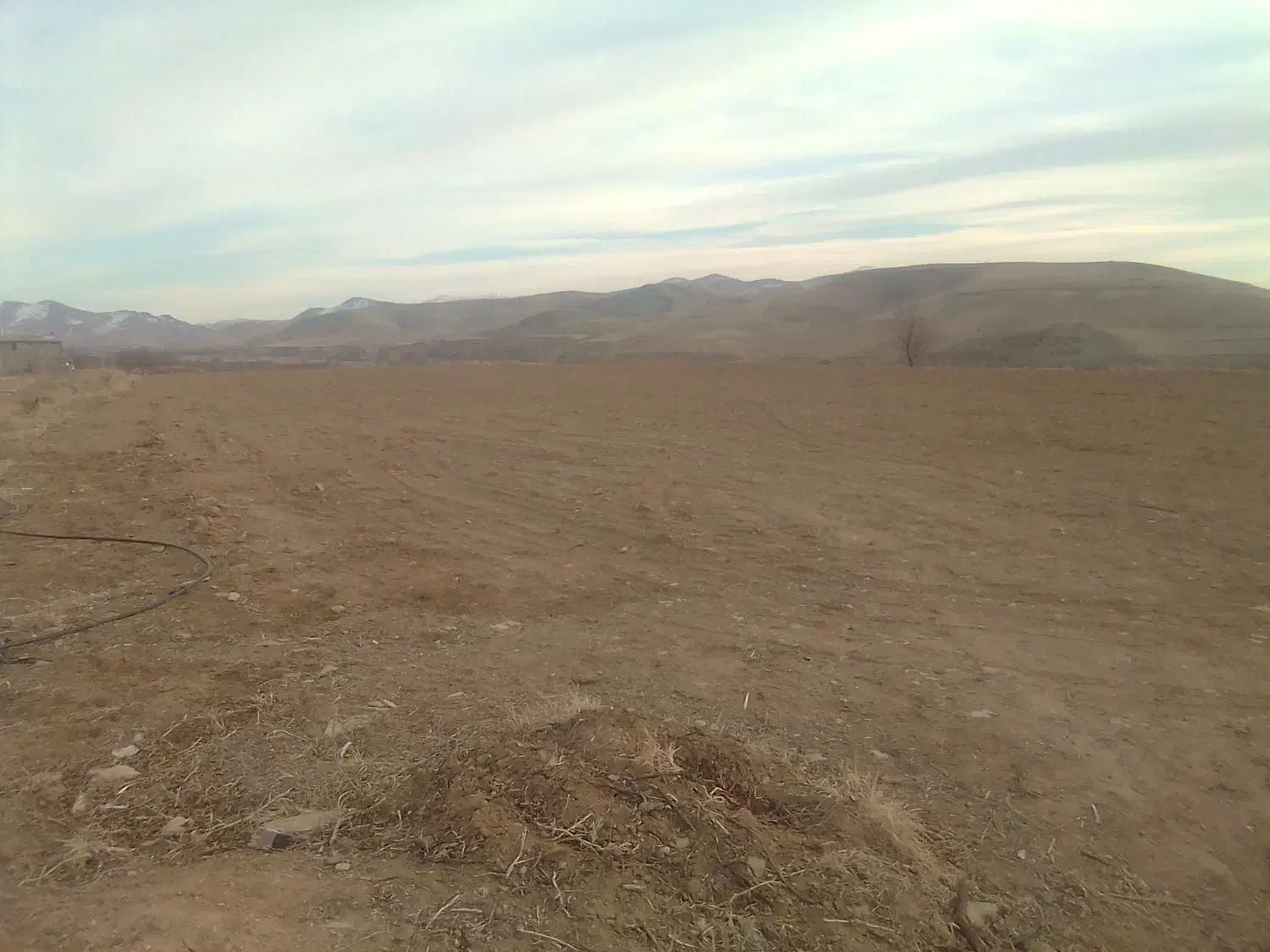 اجاره زمین کشاورزی دیم 5 هکتار کمباین گیر|اجارهٔ دفتر صنعتی، کشاورزی، تجاری|شاهین دژ, |دیوار