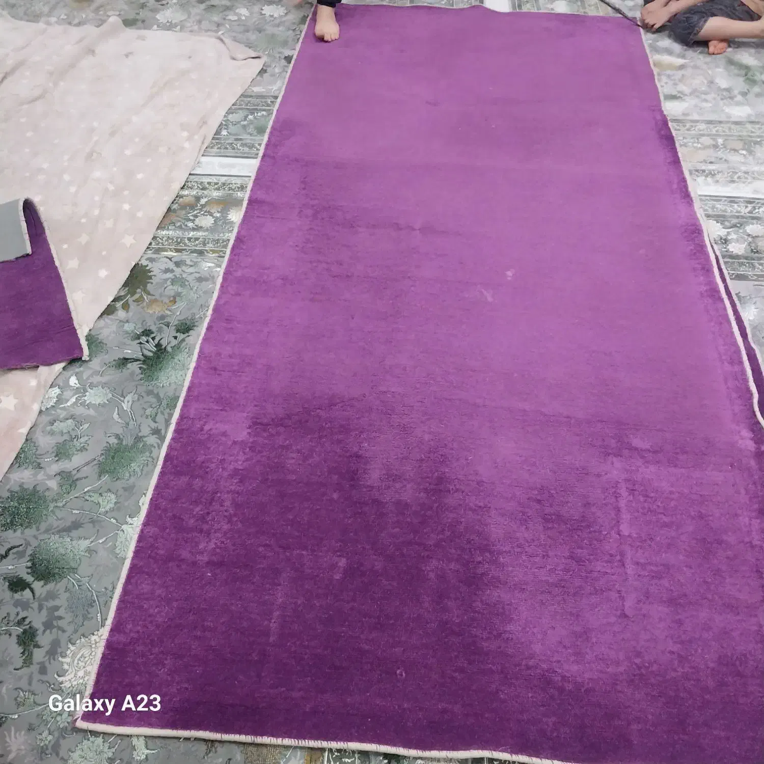 تعدادی موکت پالاز|موکت|گلستان (تهران), |دیوار