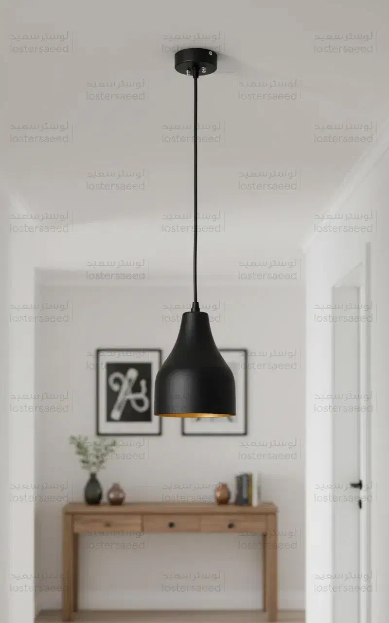 لوسترهای اویز تک شعله مشکی و سفید راهرو اتاق خواب|لوستر و چراغ آویز|تبریز, |دیوار