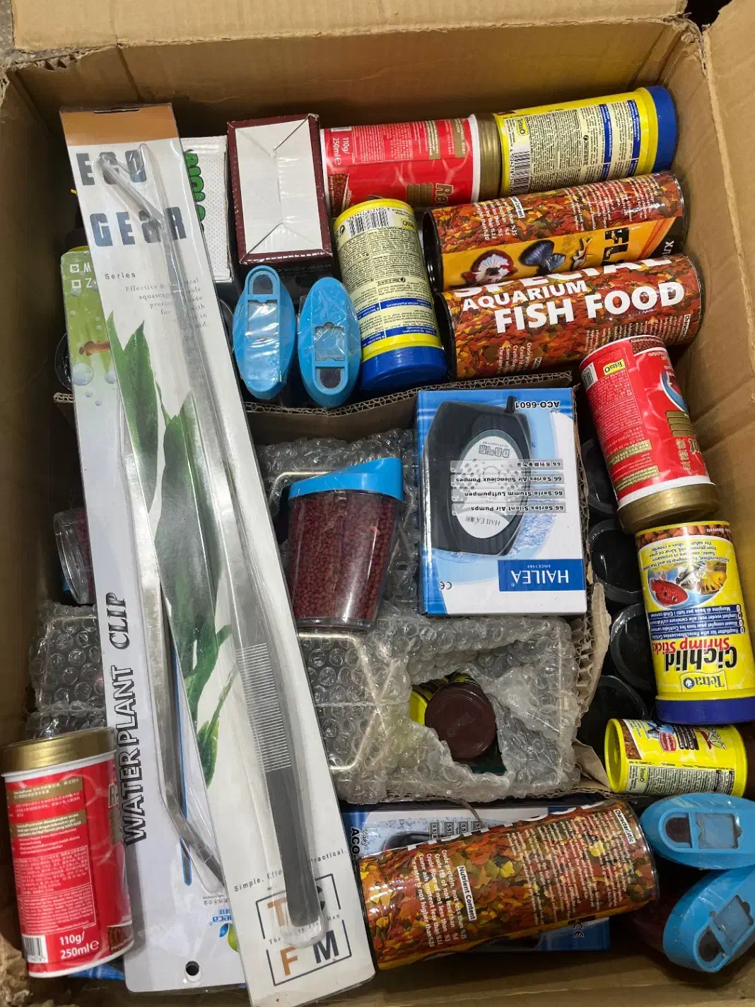 آکواریوم و‌ماهیان زینتی|ماهی|رامشیر, |دیوار