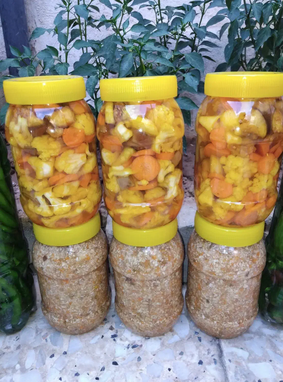 ترشی خونگی|خوردنی و آشامیدنی|شیراز, شهرک کوشکک|دیوار
