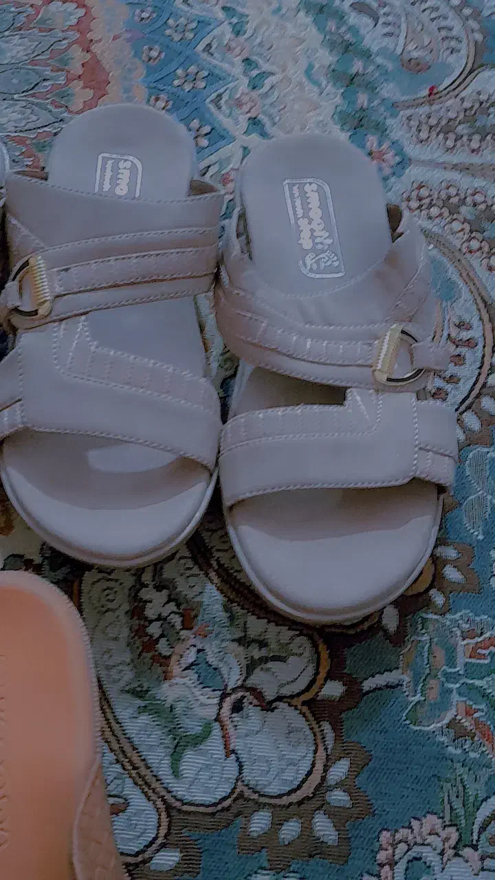 دمپایی عربی|کیف، کفش، کمربند|سراوان, |دیوار