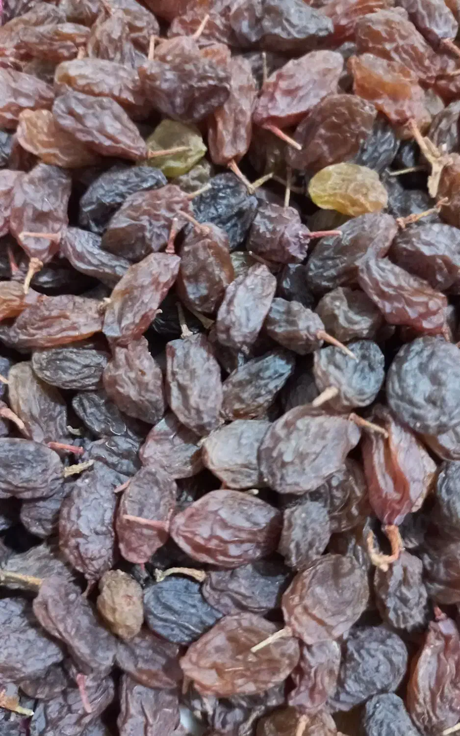 کشمش پلویی|خوردنی و آشامیدنی|تهران, نیاوران|دیوار