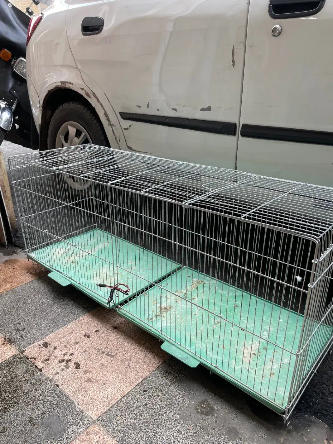 قفس|لوازم جانبی حیوانات|خوی, |دیوار