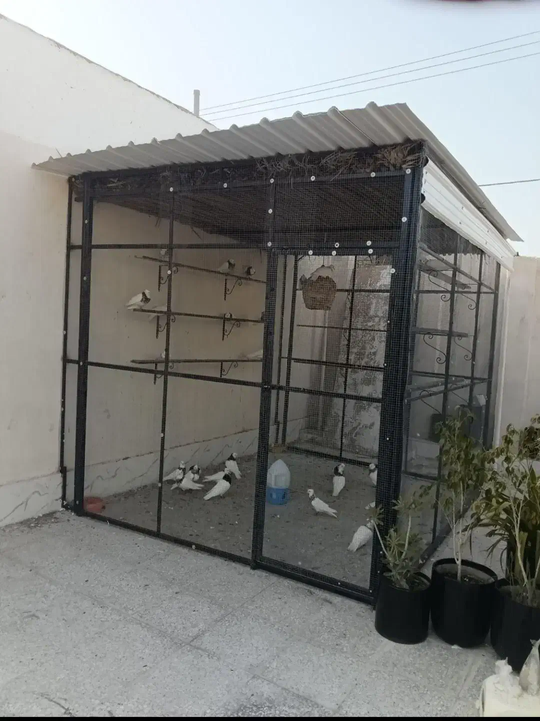 جوشکاری سیار ، سایبان ، راه پله و غیره|خدمات پیشه و مهارت|قشم, |دیوار