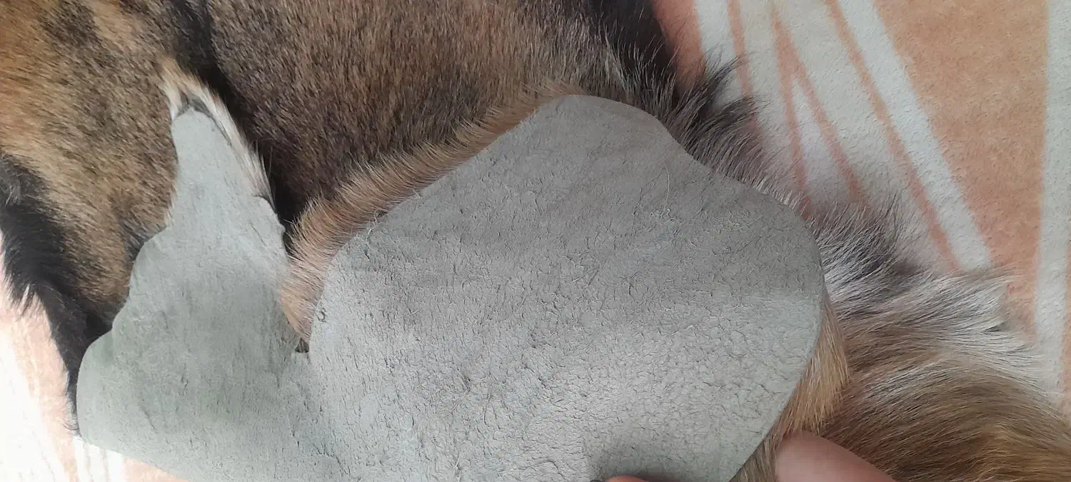 پوست بز طبیعی|صنایع دستی و سایر لوازم تزئینی|قرچک, میرزائی شمالی|دیوار