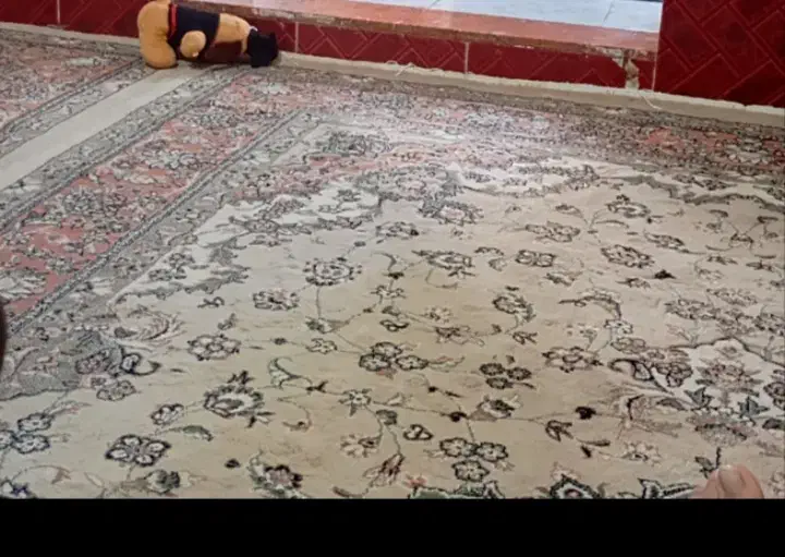 فرش|فرش|صفادشت, |دیوار