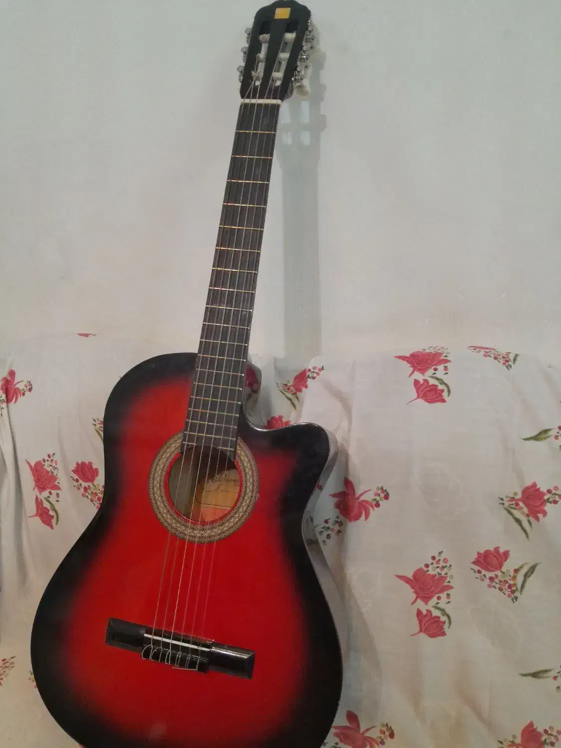 گیتار|گیتار، بیس، امپلیفایر|مشهد, رستگار|دیوار