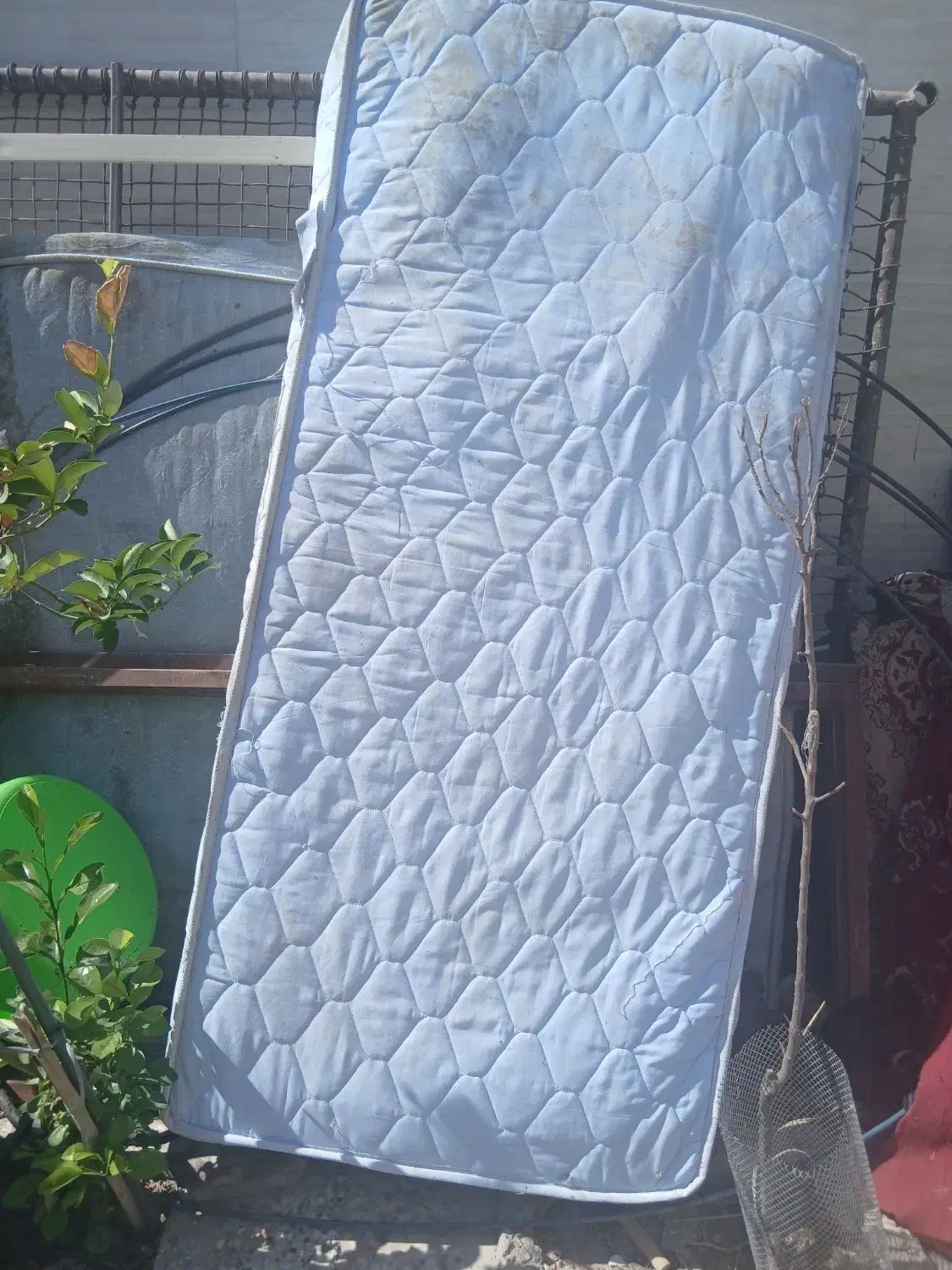 تشک  ۱نفره|تشک تختخواب|ایذه, |دیوار