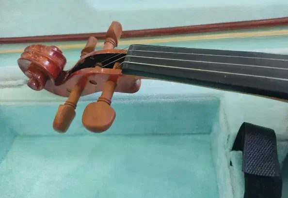 ویولن برند آماتی مدل 150 سایز 4/4|ویولن|رشت, رشتیان|دیوار