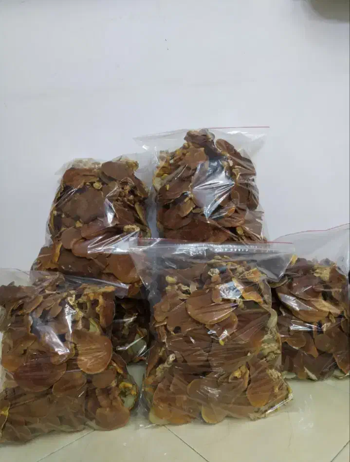 قارچ گانودرما خالص|آرایشی، بهداشتی، درمانی|قم, سید معصوم|دیوار