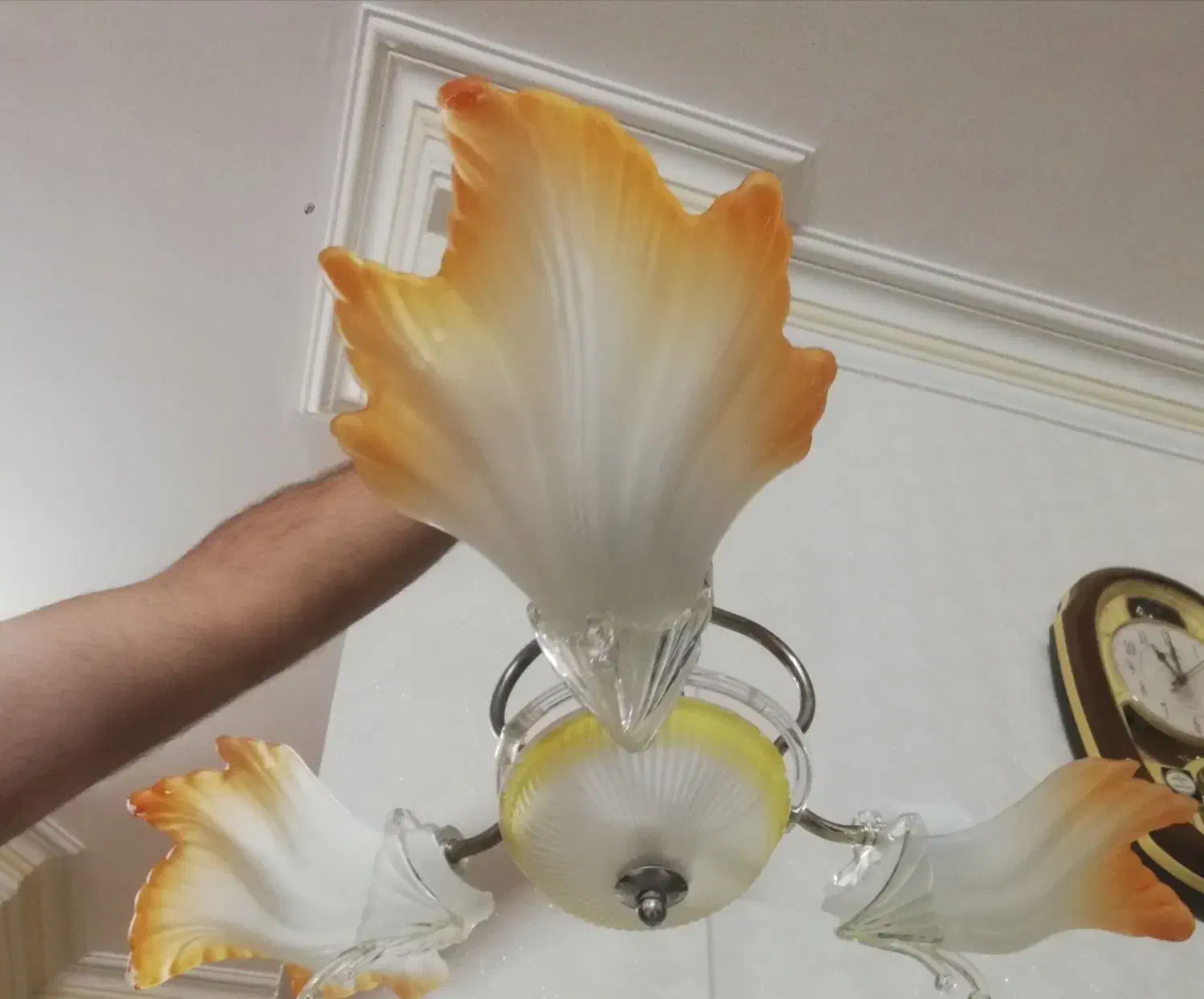 لوستر|لوستر و چراغ آویز|مشهد, آزادشهر|دیوار