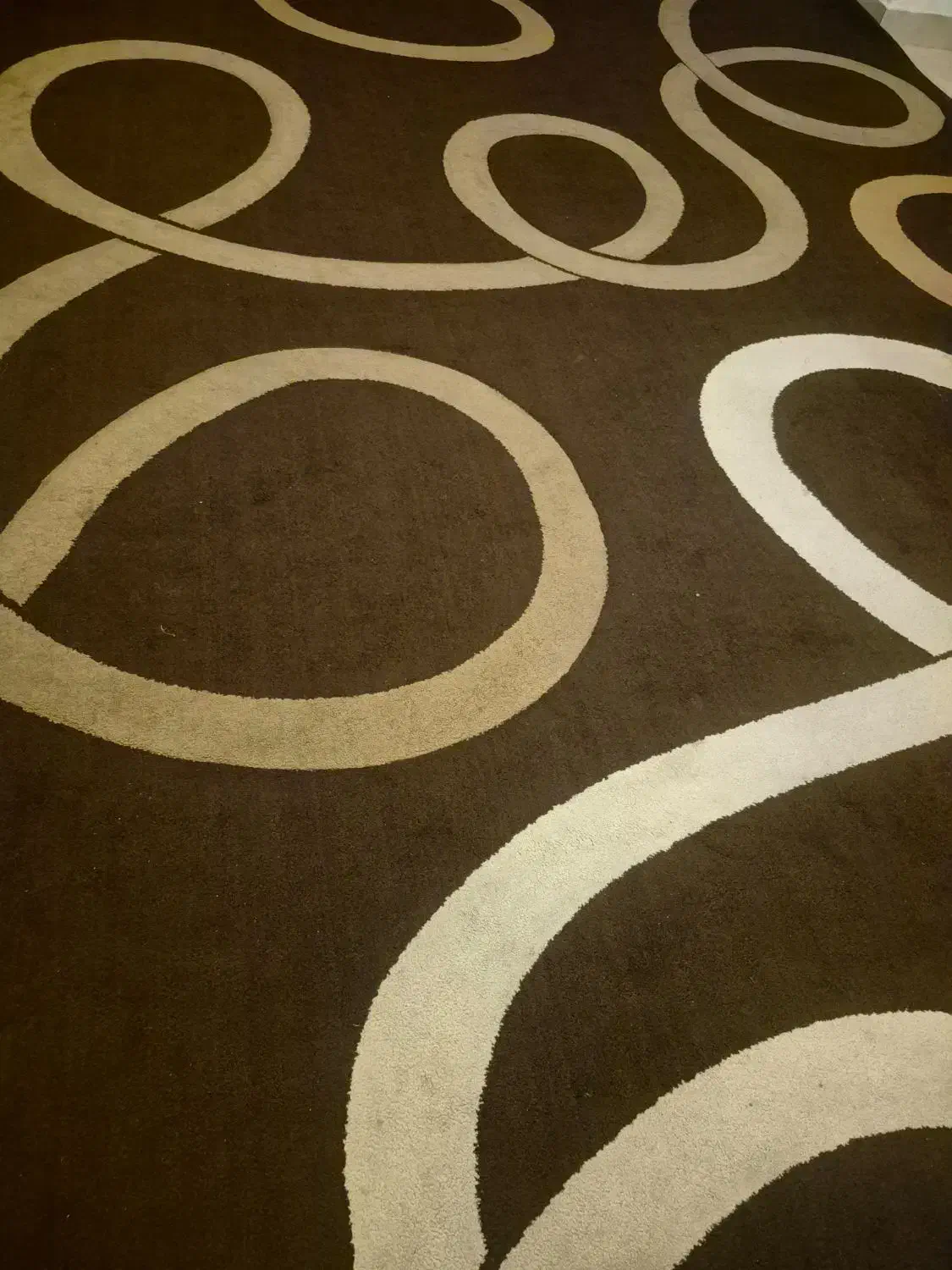 فرش 12 متری|فرش|چالوس, |دیوار