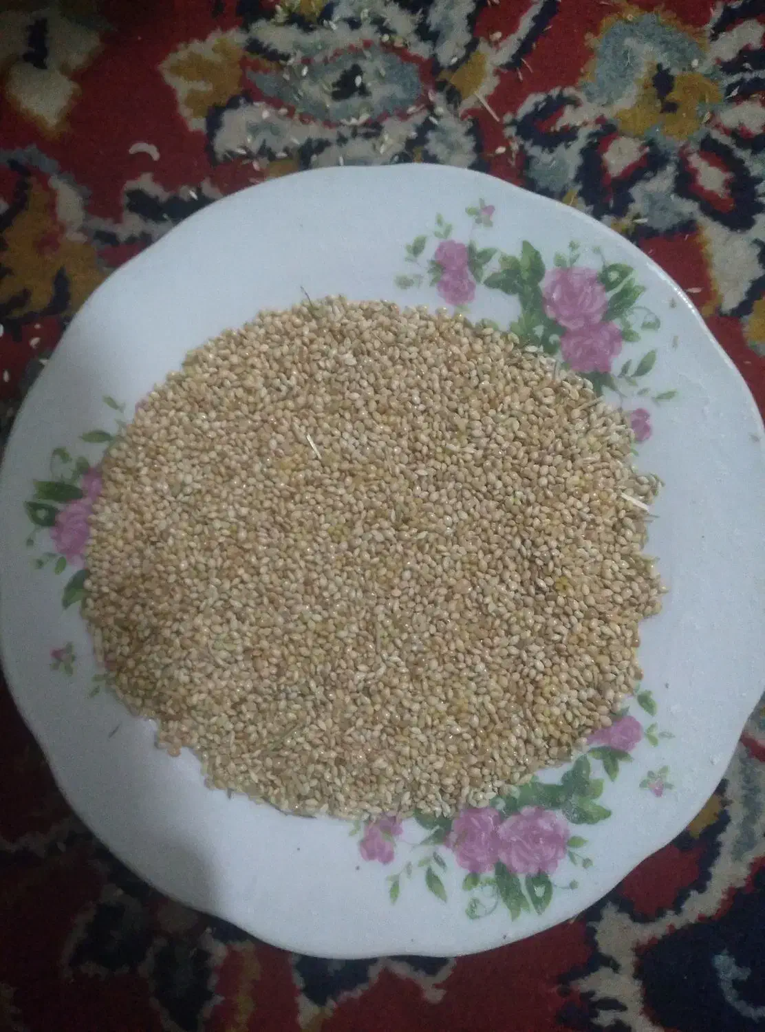 ارزن ایرانی|عمده‌فروشی|قنوات, |دیوار