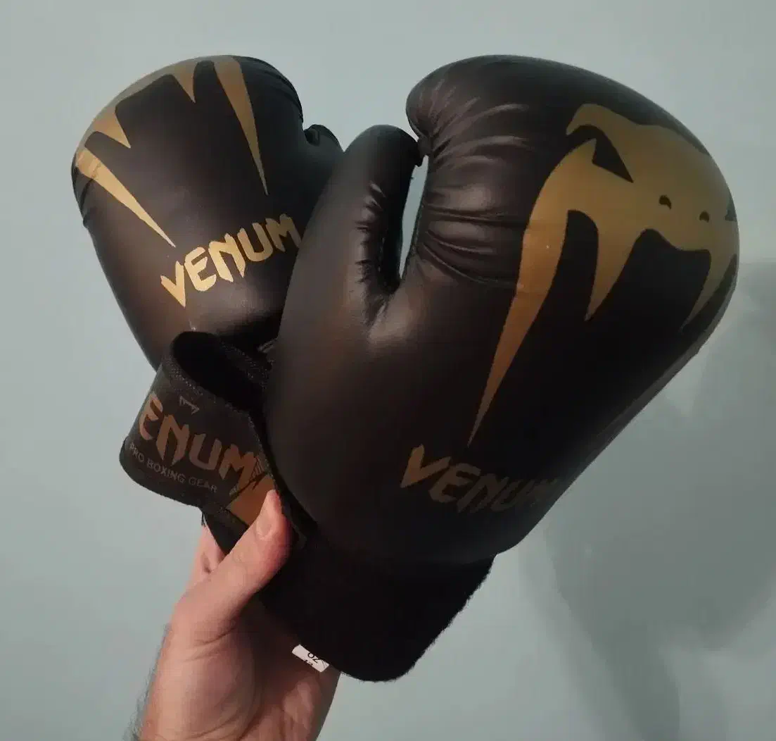 دستکش بوکس ونوم 12oz|تجهیزات ورزشی|شیراز, تپه تلویزیون|دیوار