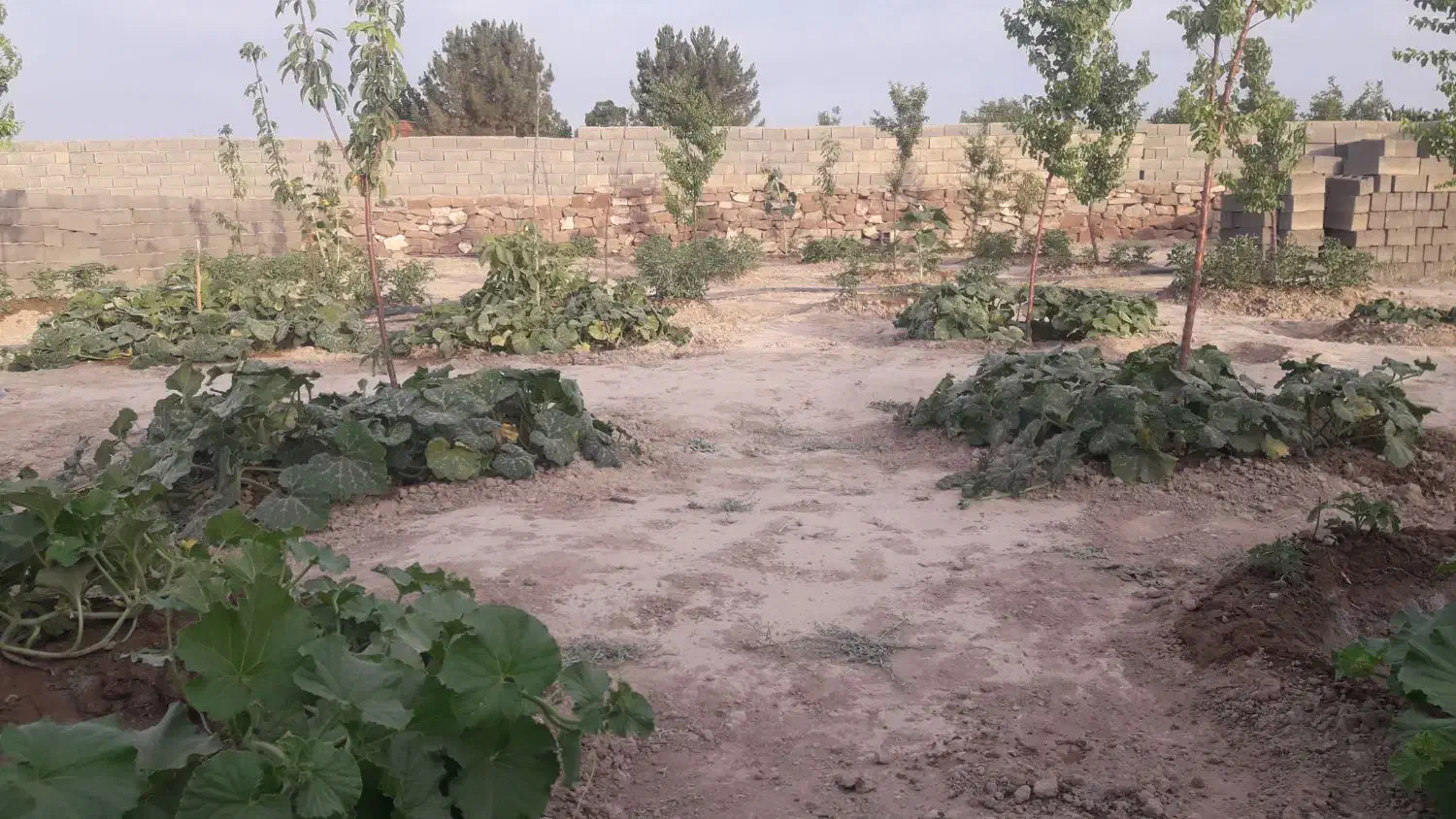 باغ فروشی سمندر|فروش خانه و ویلا|چناران, |دیوار