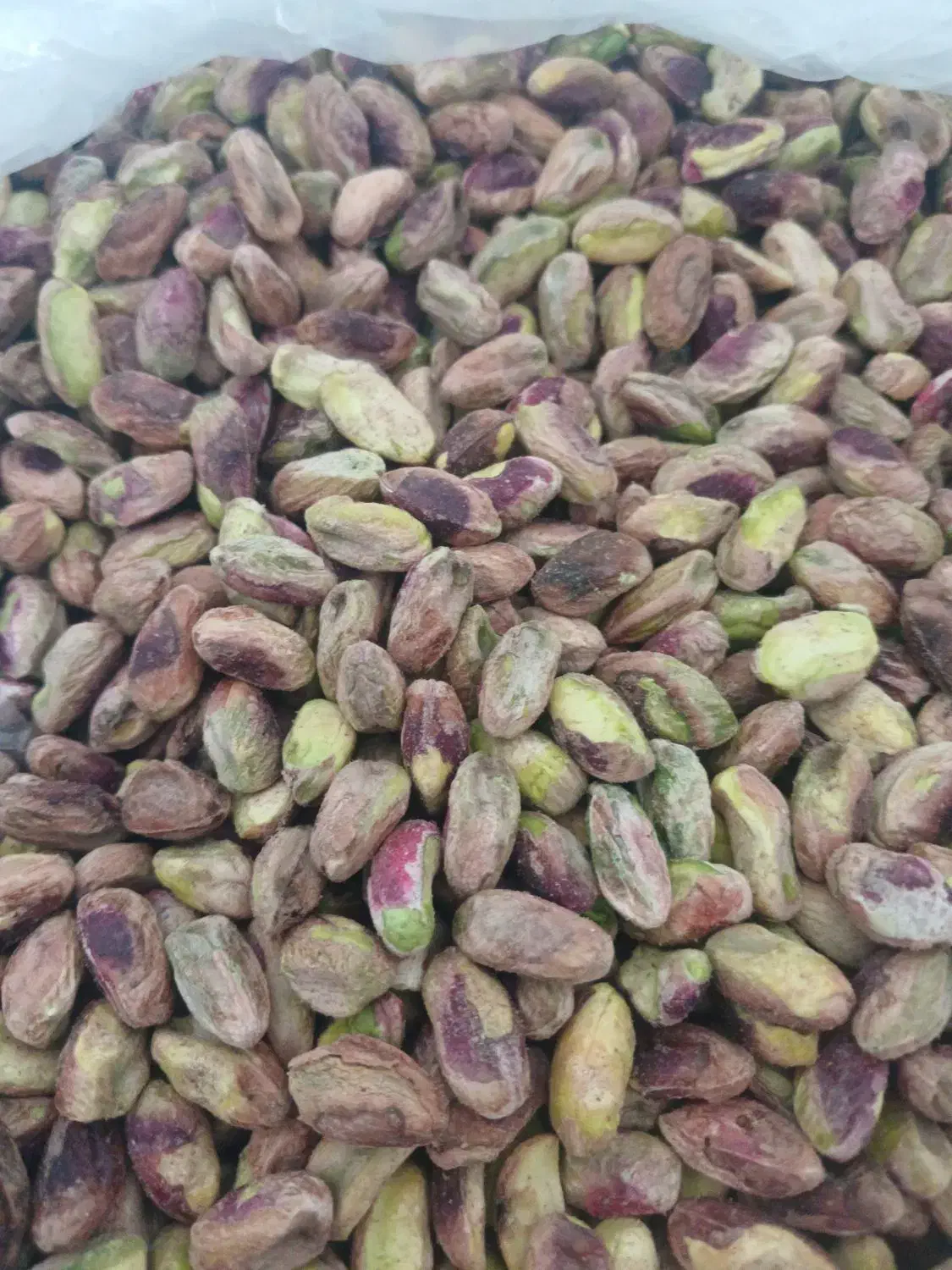 پسته اکبری از تولید به مصرف|عمدهفروشی|خلخال, |دیوار