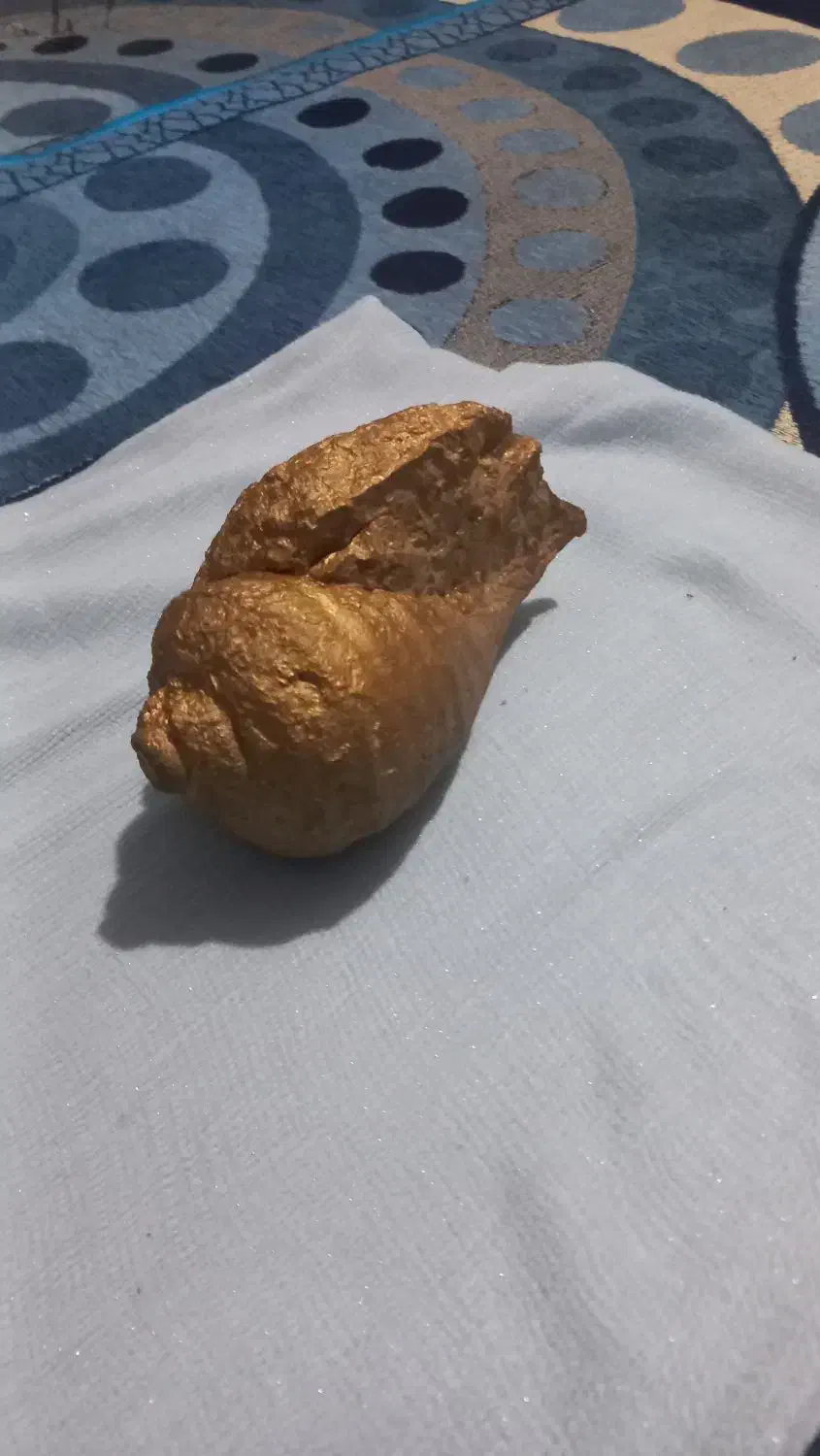 فسیل|کلکسیون اشیاء عتیقه|فیروزآباد (فارس), |دیوار