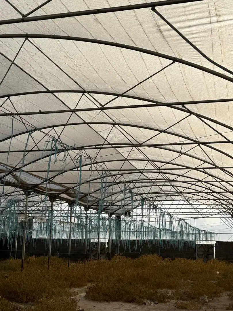 سازه گلخانه دست دوم در حد نو|ماشینآلات صنعتی|رباطکریم, الارد|دیوار