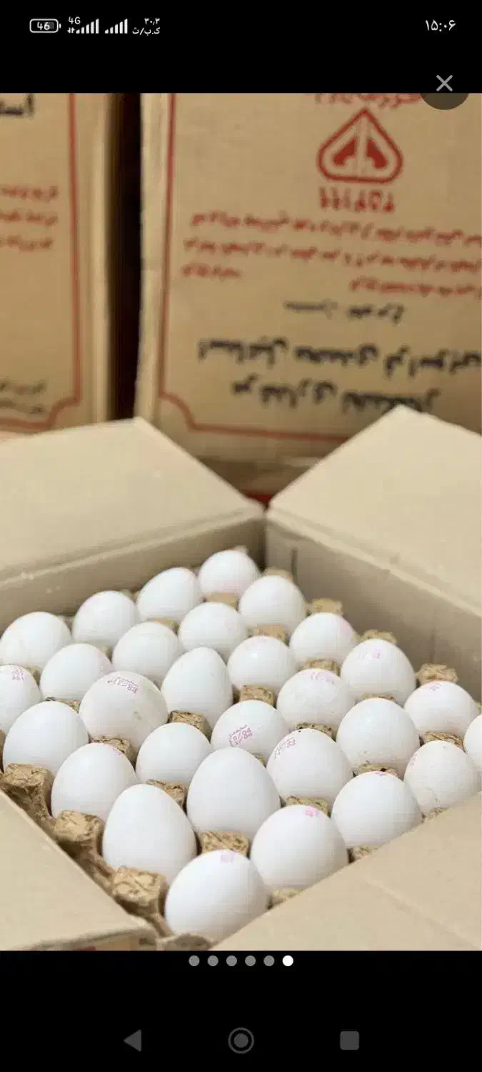 تخم مرغ|خوردنی و آشامیدنی|بومهن, |دیوار