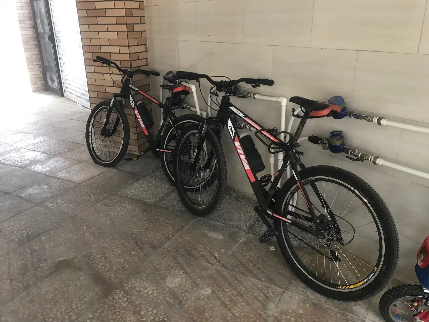 دوچرخه طرح ویوا|دوچرخه، اسکیت، اسکوتر|لاهیجان, شقایق|دیوار