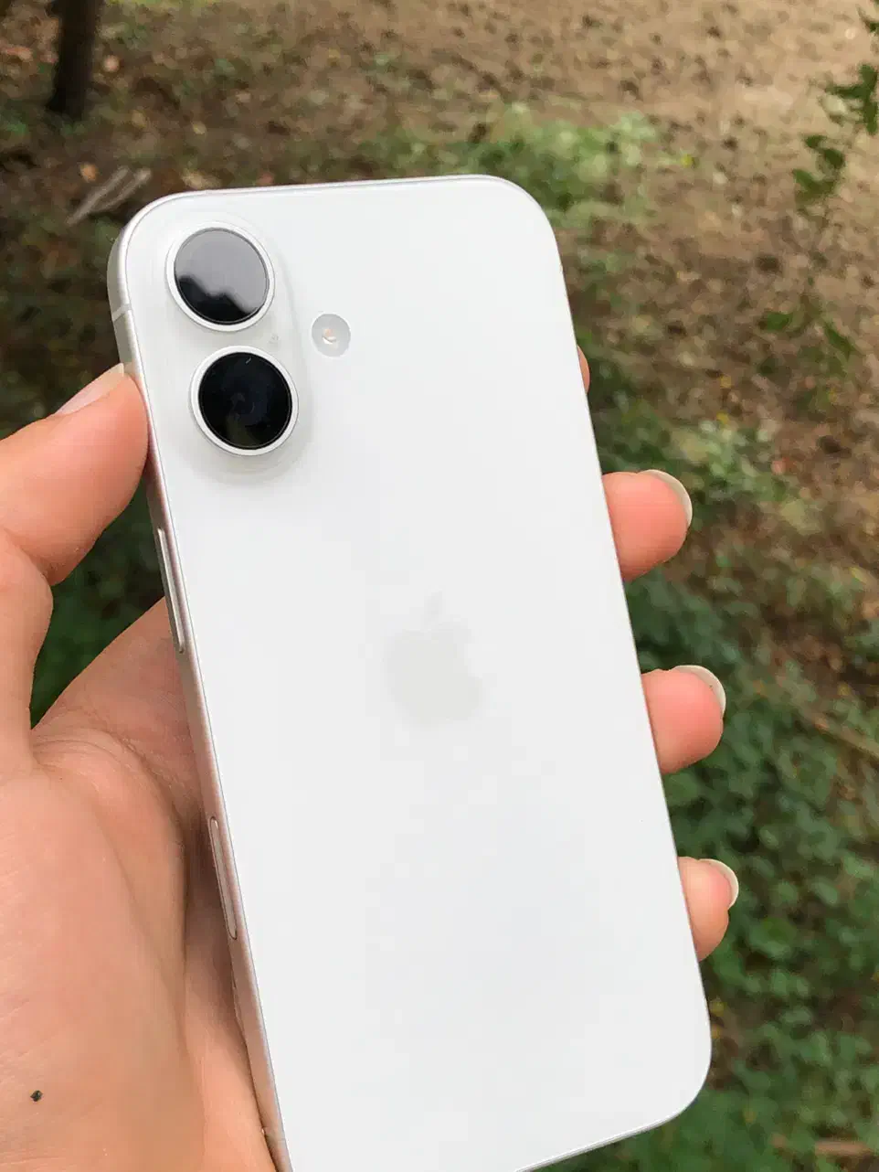 آیفون ۱۶ فوری فوری|موبایل|بابل, |دیوار