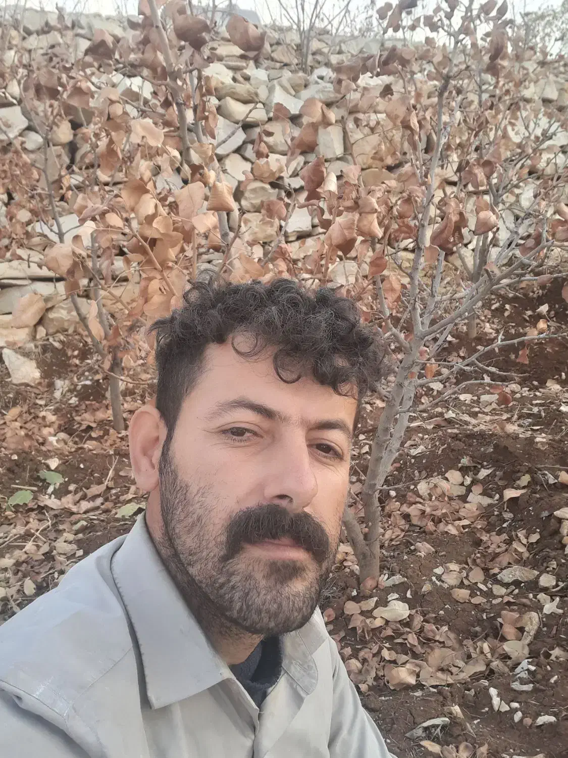 باسلام  چند مدارک گم کردم|اشیا|سقز, |دیوار