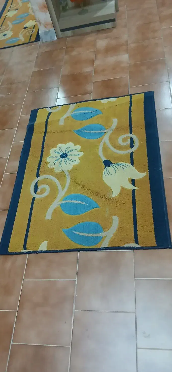 فرش|فرش|رشت, منظریه|دیوار