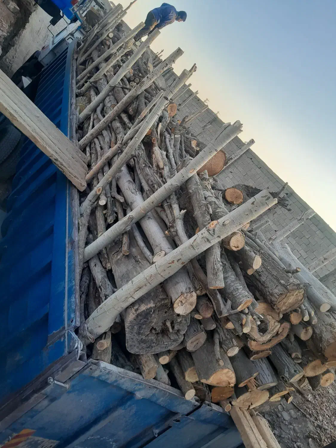 خریدار انواع چوب هیزمی زغالی ریشه درخت|خدمات باغبانی و درختکاری|آبیک, |دیوار